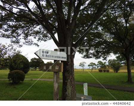 咲玉古墳公園 44840642