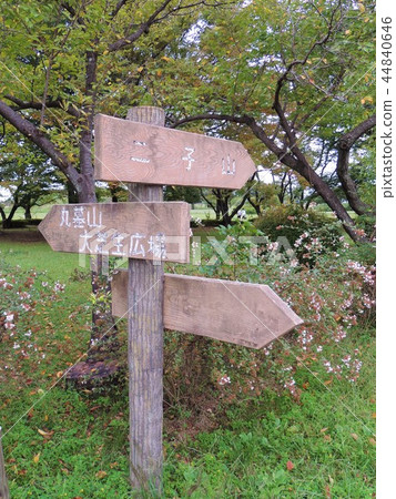 咲玉古墳公園 咲玉古墳公園 44840646