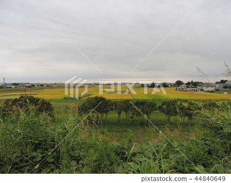 Sakitama Kofun Park Sakitama Kofun Park 44840649