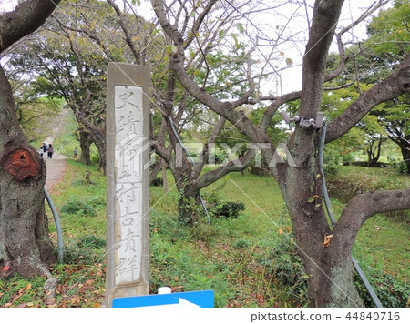 咲玉古墳公園 咲玉古墳公園 44840716