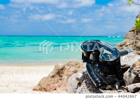 Okinawa Ishigakijima Kawahira Tabagar 44842667