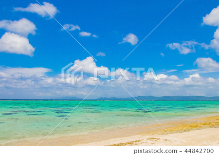 Okinawa Ishigakijima Kawahira Tabagar 44842700