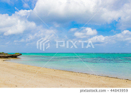 Okinawa Ishigakijima Kawahira Tabagar 44843959