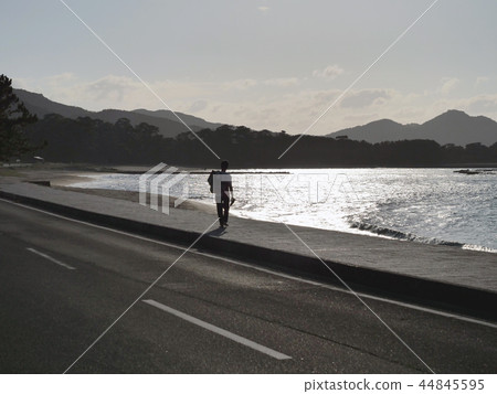旅游海濱 旅游海濱 44845595