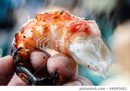 炭火烤伊勢蝦 炭火烤伊勢蝦 44845661