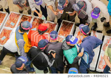 靜岡縣沼津港。魚市拍賣 44848321