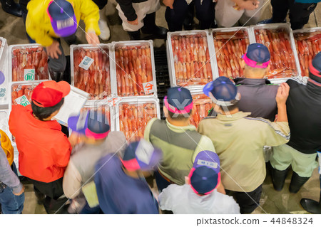 Numazu Port, Shizuoka Pref. Auction of Fish Market Numazu Port, Shizuoka Pref. Auction of Fish Market 44848324