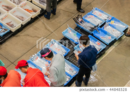 靜岡縣沼津港。魚市拍賣 靜岡縣沼津港。魚市拍賣 44848328