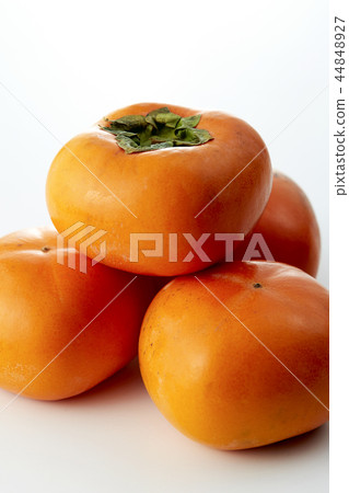 Tomoe Tone (Japanese persimmon) 44848927
