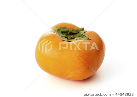 Tomoe Tone (Japanese persimmon) 44848928