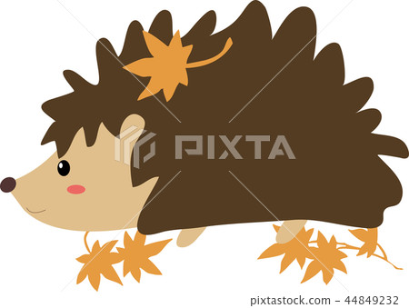 刺猬和秋葉 44849232