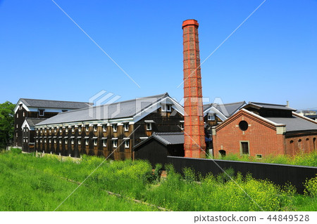 Fushimi's sake brewery and rape blossoms 44849528