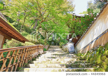 Daikozanji寺（杜鵑花寺/ Momiji寺）佐賀縣三友郡本山町 44849968