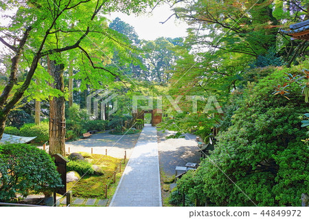 Daikozanji Temple (Azalea Temple / Momiji Temple) Motoyama-cho Sanryou-gun, Saga Prefecture Daikozanji Temple (Azalea Temple / Momiji Temple) Motoyama-cho Sanryou-gun, Saga Prefecture 44849972