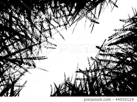 Brush stroke textile Brush stroke textile 44850129