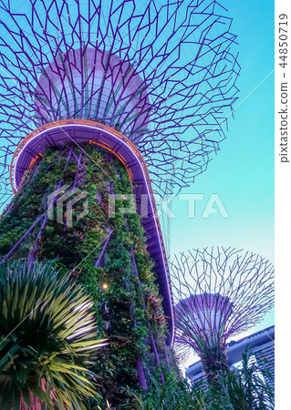 Singapore Singapore 44850719