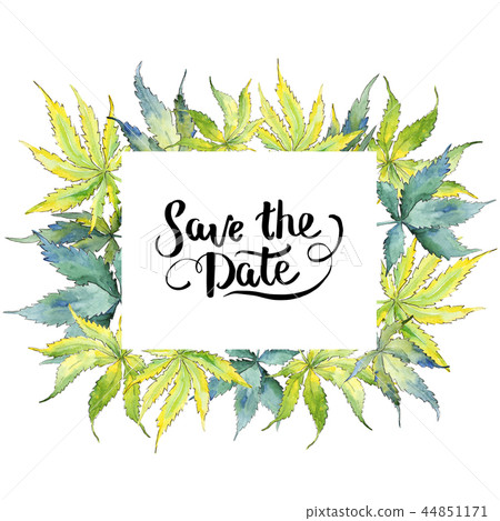Green cannabis leaf. Leaf plant botanical garden floral foliage. Frame border ornament square. Green cannabis leaf. Leaf plant botanical garden floral foliage. Frame border ornament square. 44851171