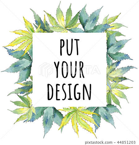 Green cannabis leaf. Leaf plant botanical garden floral foliage. Frame border ornament square. Green cannabis leaf. Leaf plant botanical garden floral foliage. Frame border ornament square. 44851203