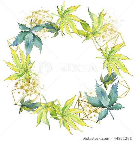 Green cannabis leaf. Leaf plant botanical garden floral foliage. Frame border ornament square. Green cannabis leaf. Leaf plant botanical garden floral foliage. Frame border ornament square. 44851298