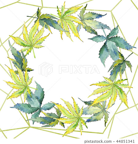 Green cannabis leaf. Leaf plant botanical garden floral foliage. Frame border ornament square. Green cannabis leaf. Leaf plant botanical garden floral foliage. Frame border ornament square. 44851341