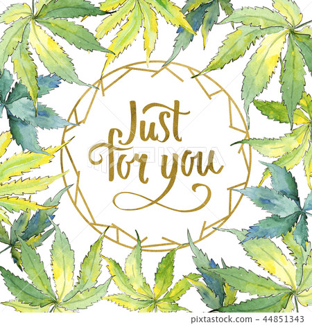 Green cannabis leaf. Leaf plant botanical garden floral foliage. Frame border ornament square. Green cannabis leaf. Leaf plant botanical garden floral foliage. Frame border ornament square. 44851343