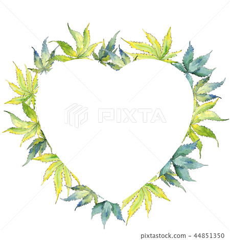 Green cannabis leaf. Leaf plant botanical garden floral foliage. Frame border ornament square. Green cannabis leaf. Leaf plant botanical garden floral foliage. Frame border ornament square. 44851350