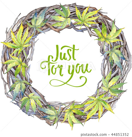 Green cannabis leaf. Leaf plant botanical garden floral foliage. Frame border ornament square. Green cannabis leaf. Leaf plant botanical garden floral foliage. Frame border ornament square. 44851352