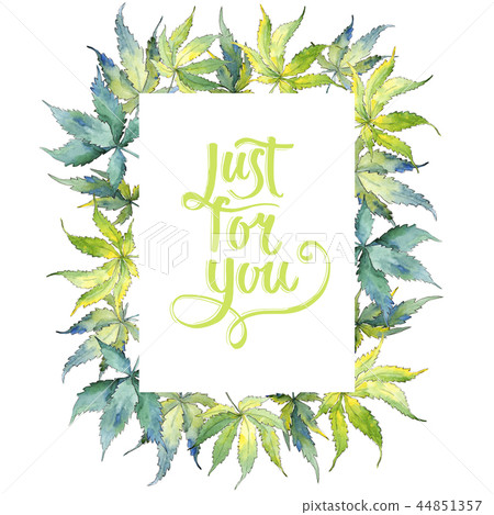 Green cannabis leaf. Leaf plant botanical garden floral foliage. Frame border ornament square. Green cannabis leaf. Leaf plant botanical garden floral foliage. Frame border ornament square. 44851357