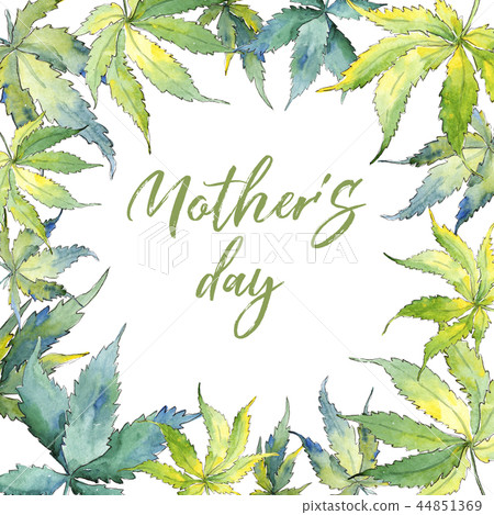 Green cannabis leaf. Leaf plant botanical garden floral foliage. Frame border ornament square. Green cannabis leaf. Leaf plant botanical garden floral foliage. Frame border ornament square. 44851369