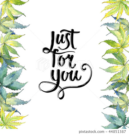Green cannabis leaf. Leaf plant botanical garden floral foliage. Frame border ornament square. Green cannabis leaf. Leaf plant botanical garden floral foliage. Frame border ornament square. 44851387