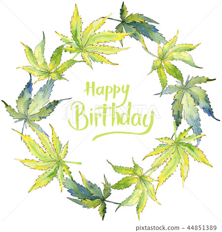 Green cannabis leaf. Leaf plant botanical garden floral foliage. Frame border ornament square. 44851389