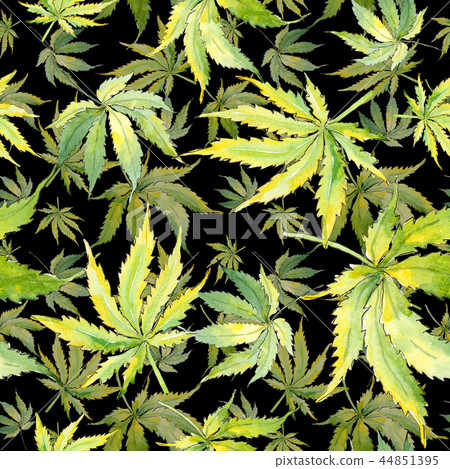 Green cannabis leaf. Leaf plant botanical garden floral foliage. Seamless background pattern. Green cannabis leaf. Leaf plant botanical garden floral foliage. Seamless background pattern. 44851395