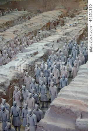 大群 一群 軍隊 44851550