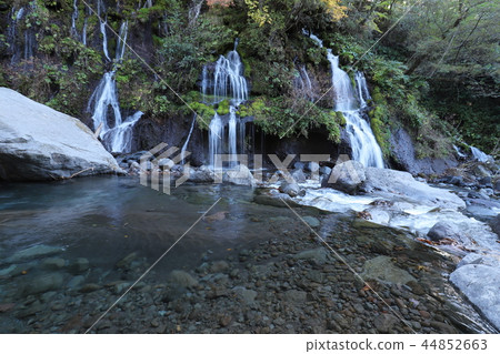 秋天龍的秋天 44852663