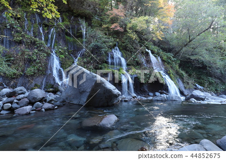 秋天龍的秋天 44852675