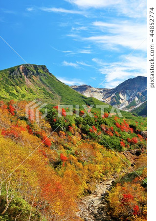 Hokkaido Tokachidake in Autumn 44852774