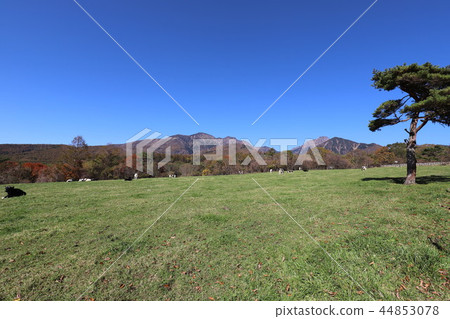 Makiba Park 44853078