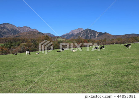 Makiba Park Makiba Park 44853081