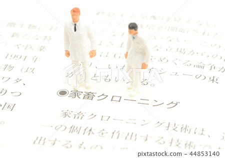 Livestock cloning image Livestock cloning image 44853140