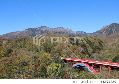 Higashiizawa Ohashi of autumn leaves 44853189