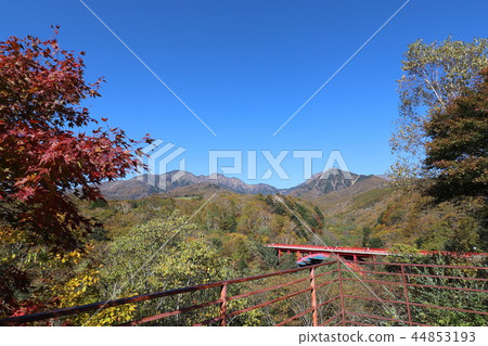 Higashiizawa Ohashi of autumn leaves Higashiizawa Ohashi of autumn leaves 44853193