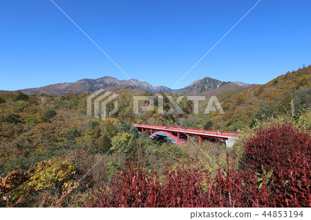 Higashiizawa Ohashi of autumn leaves 44853194