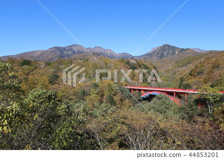Higashiizawa Ohashi of autumn leaves 44853201