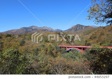 Higashiizawa Ohashi of autumn leaves 44853207