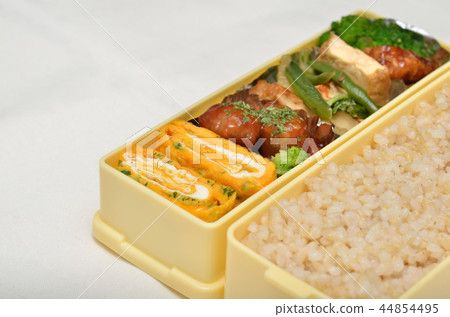Delicious Bento 44854495