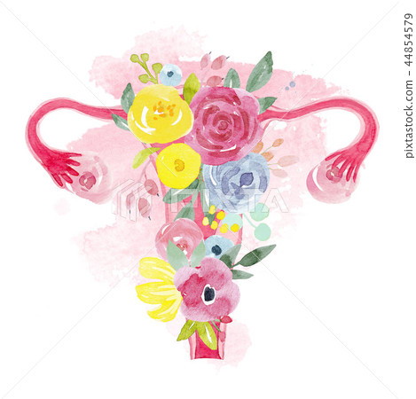 Woman uterus with flowers illustration Woman uterus with flowers illustration 44854579