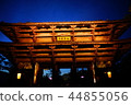 Todai-ji Temple Minamidaimon的夜景 44855056