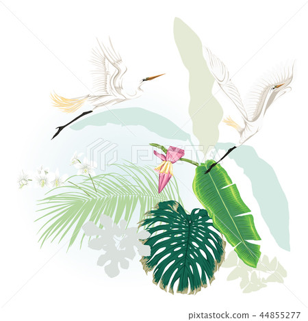 A composition of tropical plants, palm leaves 44855277