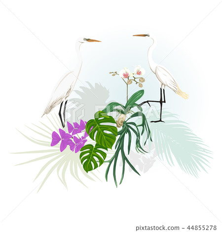 A composition of tropical plants, palm leaves 44855278