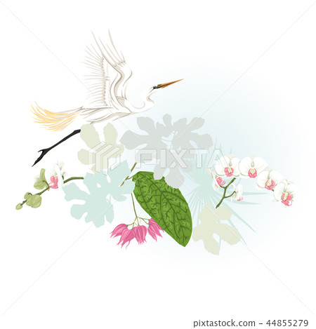 A composition of tropical plants, palm leaves A composition of tropical plants, palm leaves 44855279